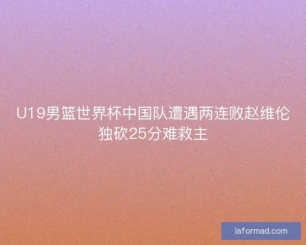 U19男篮世界杯中国队遭遇两连败赵维伦独砍25分难救主